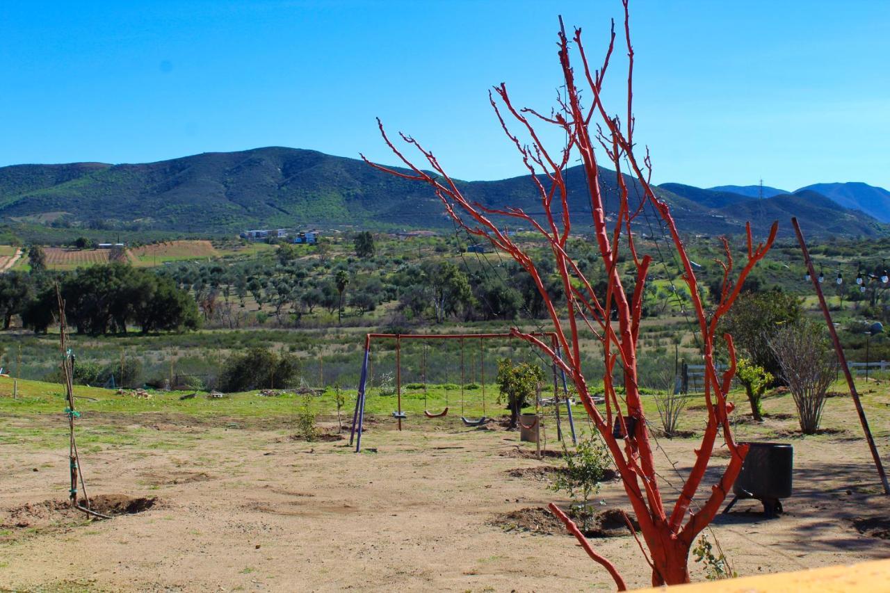 Rancho Matalote En Guadalupe Eksteriør billede