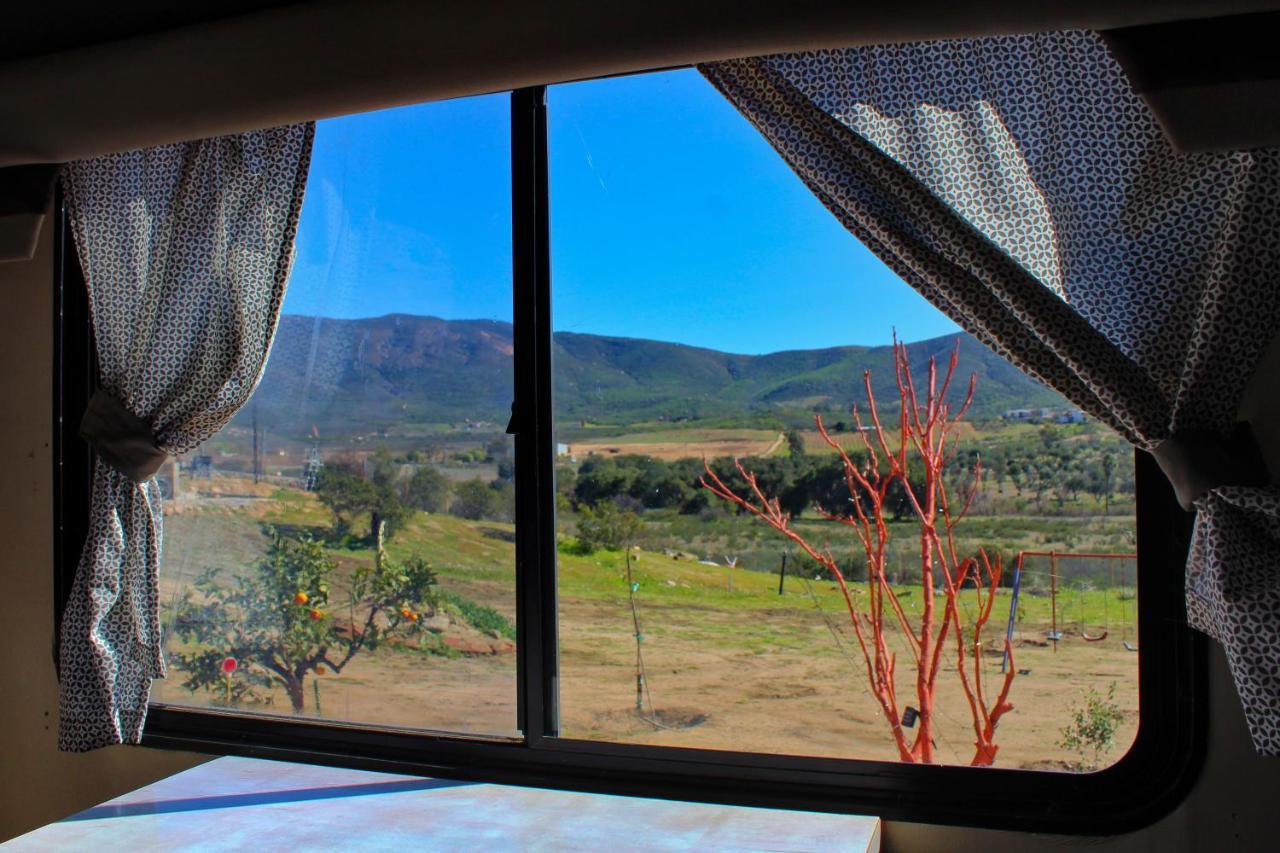 Rancho Matalote En Guadalupe Eksteriør billede