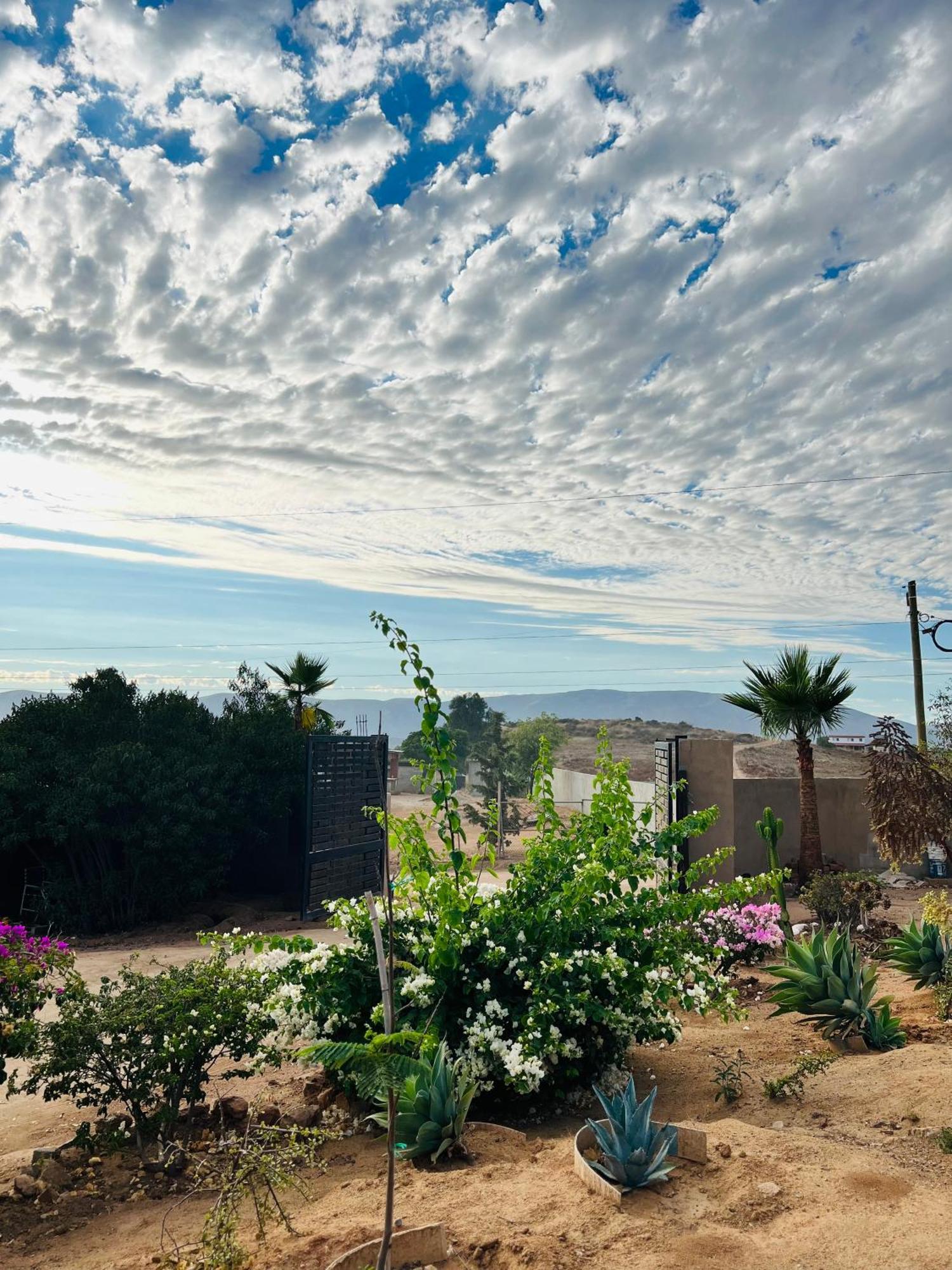Rancho Matalote En Guadalupe Eksteriør billede